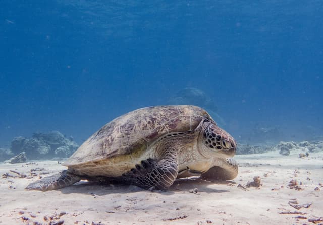 Gili Trawangan