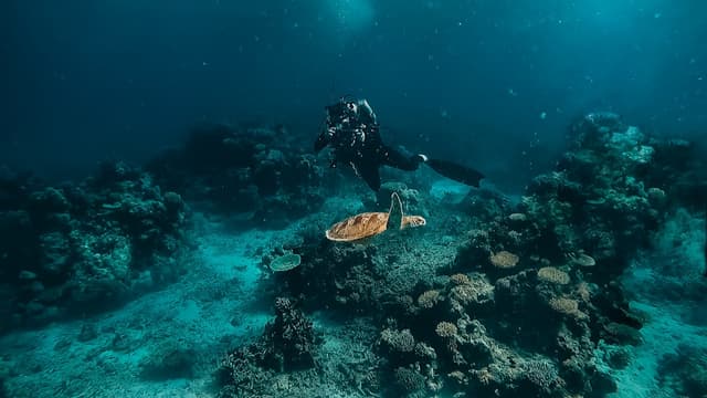Great Barrier Reef