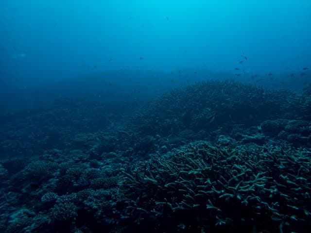 Maldives