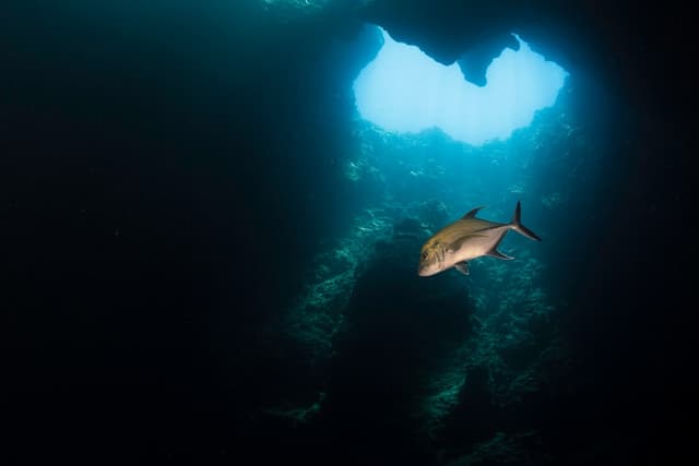 Palau