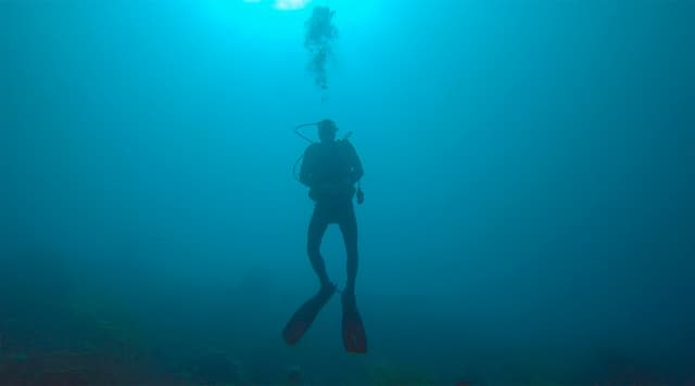 Zenobia Wreck